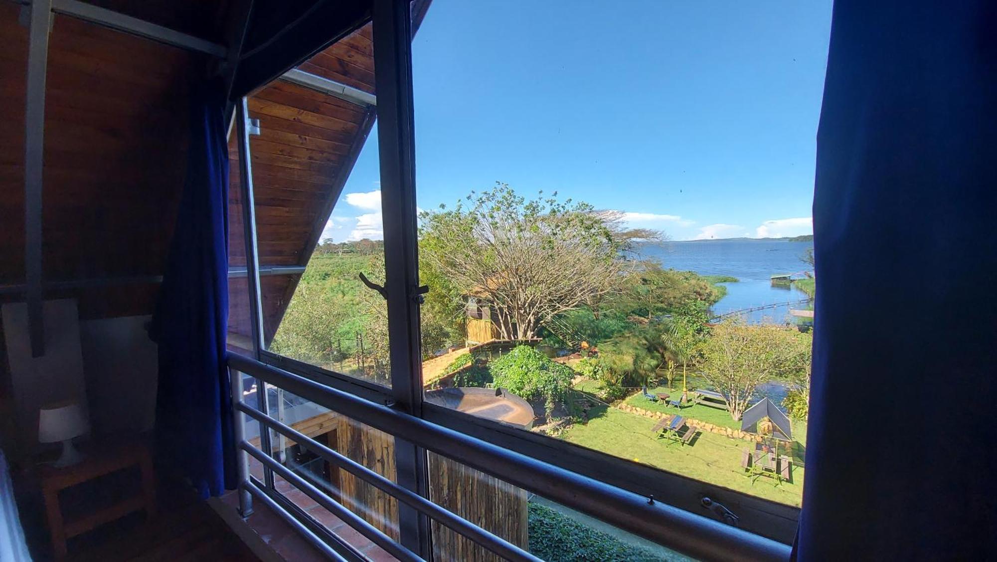 Yellow Haven Lodge Kampala Rum bild