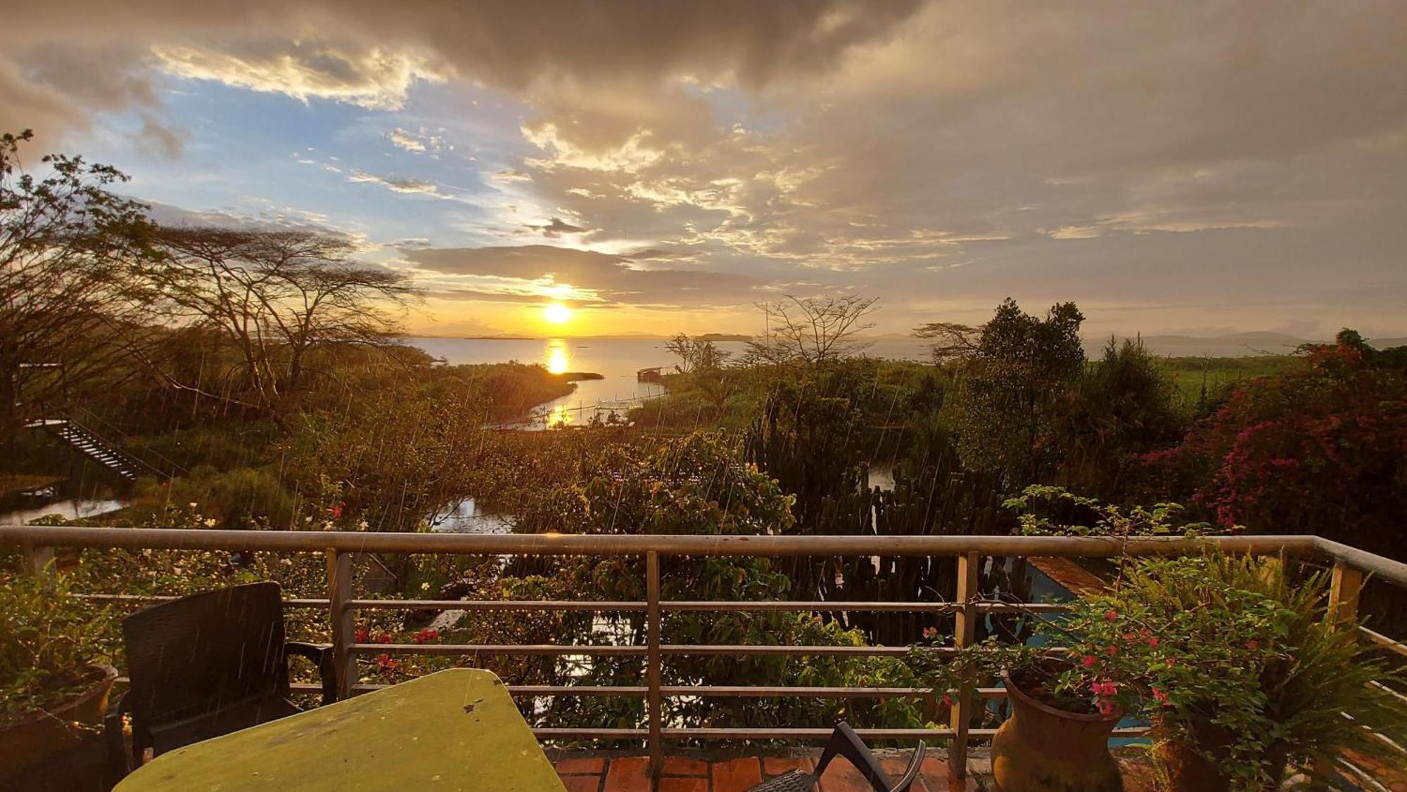 Yellow Haven Lodge Kampala Exteriör bild